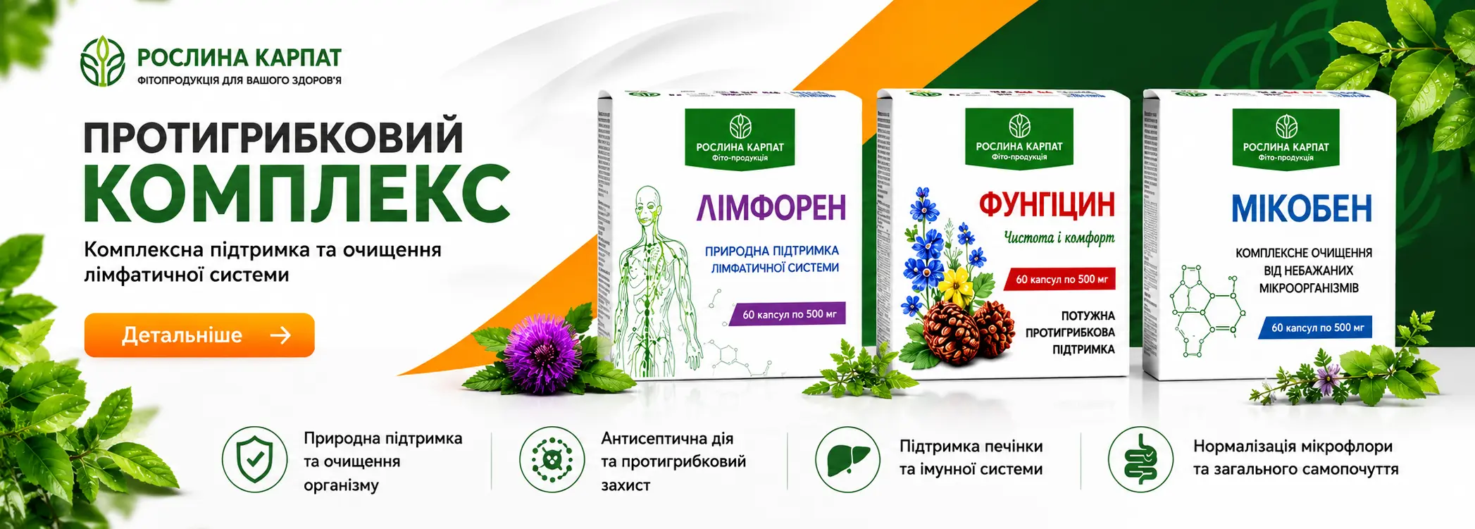 ПРОТИГРИБКОВИЙ КОМПЛЕКС РОСЛИНА